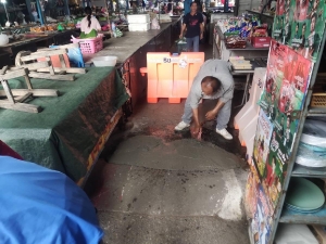 Sunset in the mountains