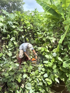 Sunset in the mountains